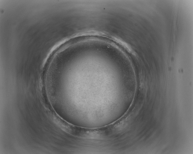 X0000080721264200612151150