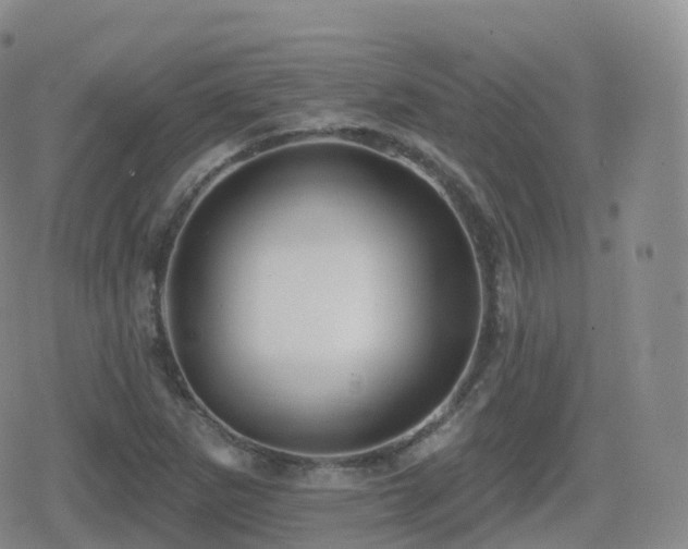 X0000080721265200612151150