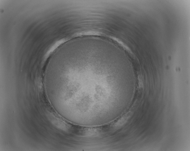 X0000080721266200612151150