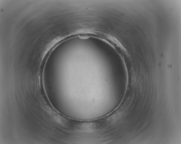 X0000080721268200612151150