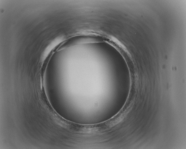 X0000080721269200612151150