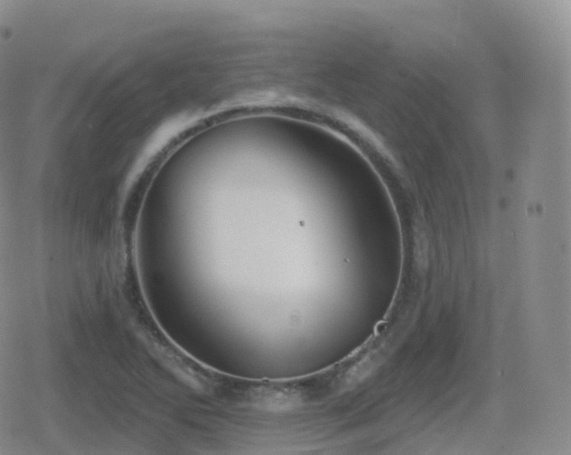 X0000080721270200612151150