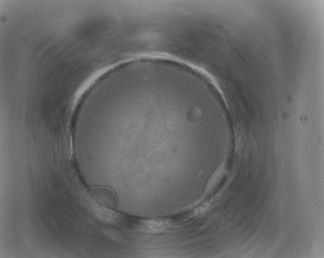 X0000080721271200612151150