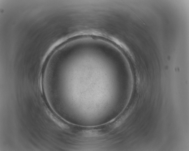 X0000080721272200612151150