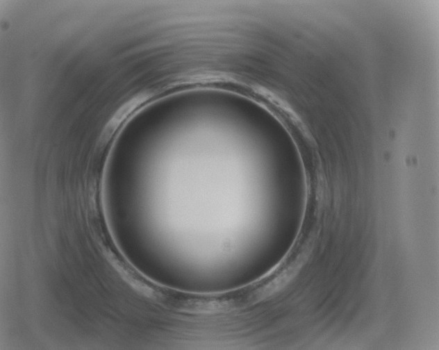 X0000080721273200612151150