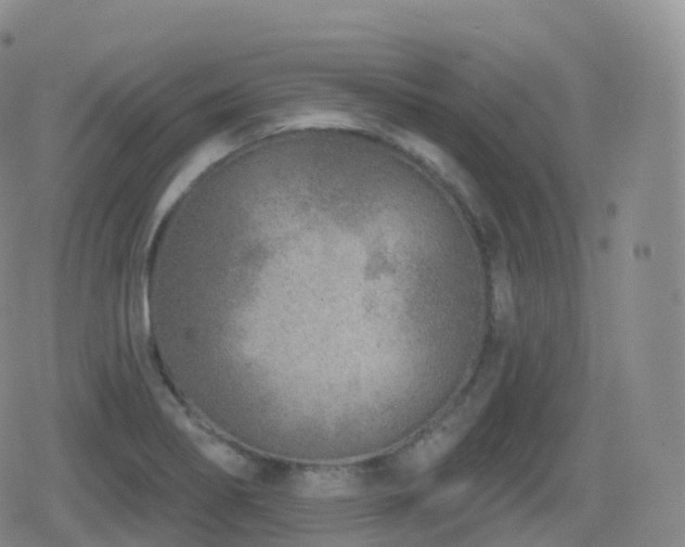 X0000080721274200612151150