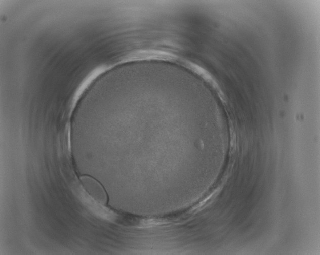 X0000080721275200612151150