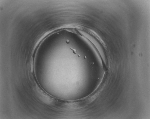 X0000080721276200612151150