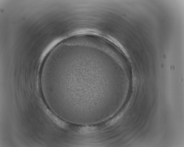 X0000080721277200612151150