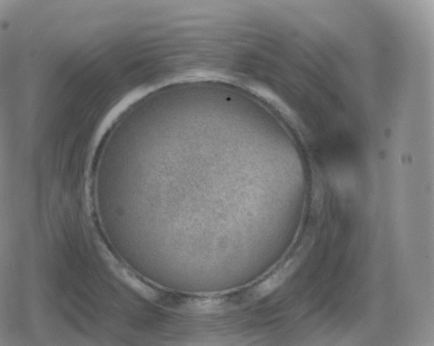 X0000080721278200612151150