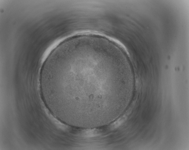 X0000080721279200612151150