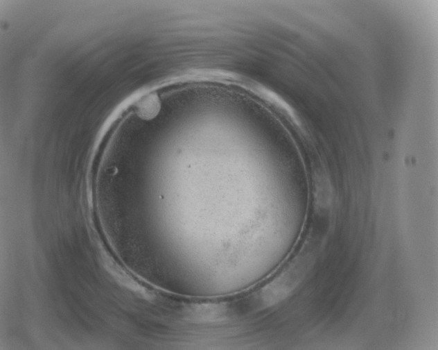 X0000080721280200612151150