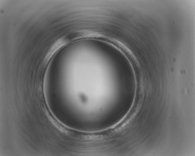 X0000080721281200612151150