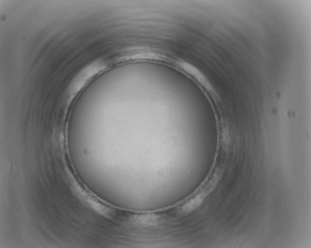 X0000080721282200612151150