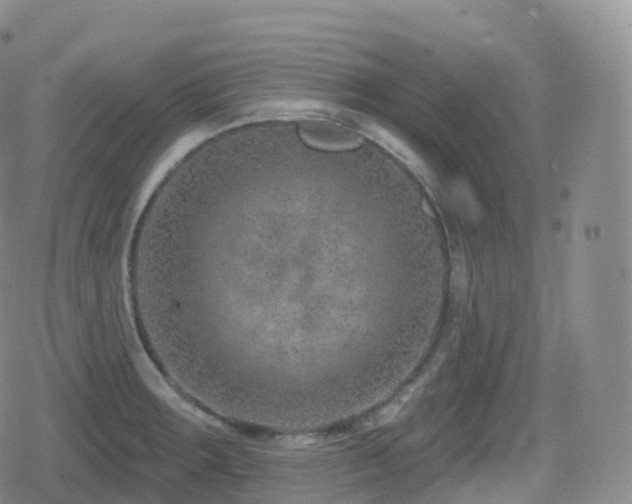 X0000080721283200612151149