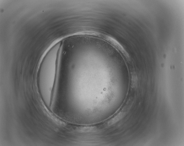 X0000080721284200612151149