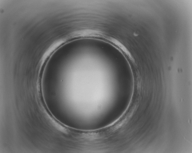 X0000080721285200612151149