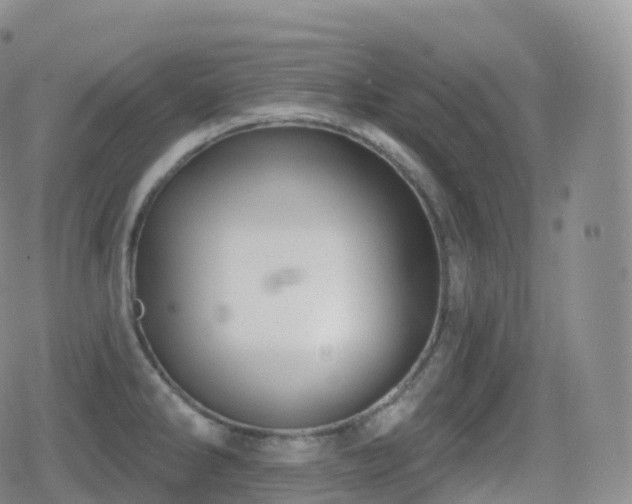 X0000080721286200612151149