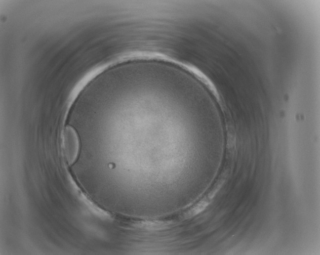 X0000080721287200612151149