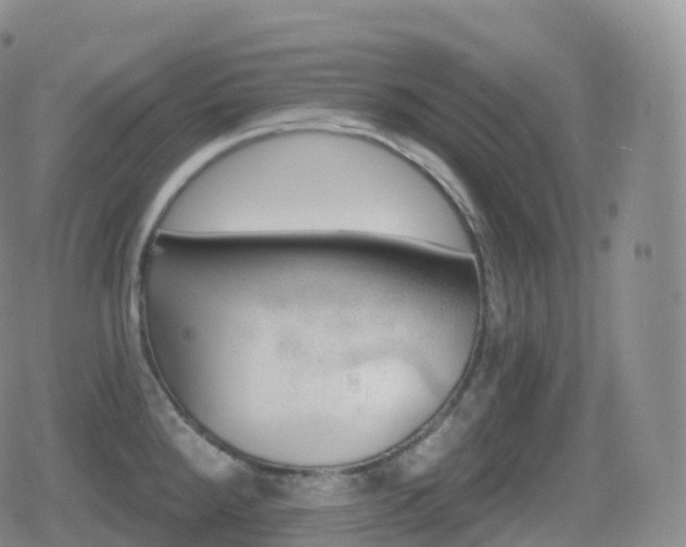 X0000080721288200612151149