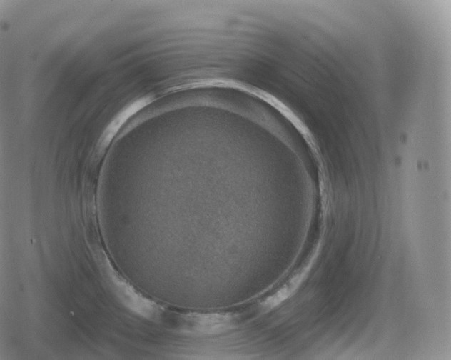 X0000080721289200612151149