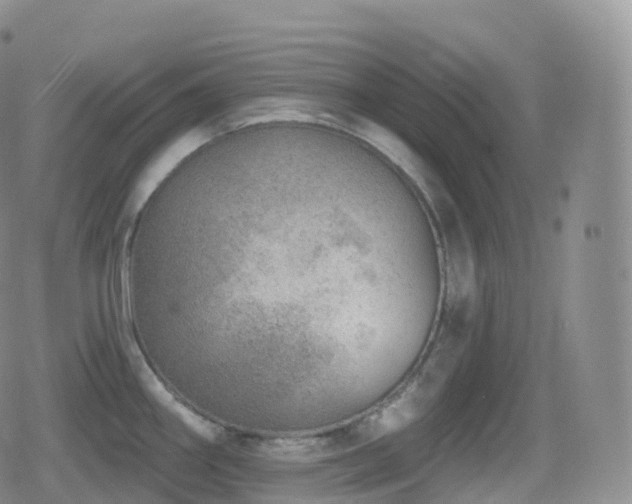 X0000080721290200612151149