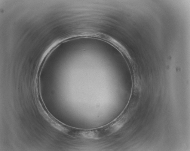 X0000080721291200612151149