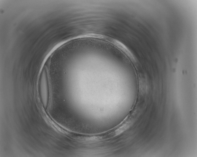 X0000080721292200612151149