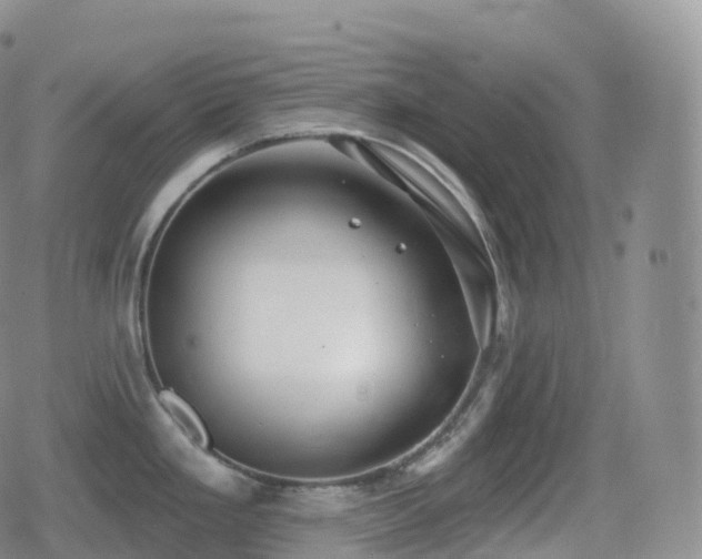 X0000080721293200612151149