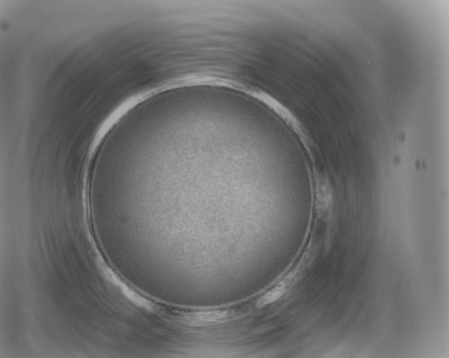 X0000080721294200612151149