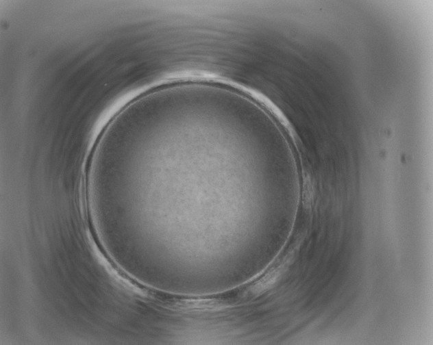 X0000080721295200612151149