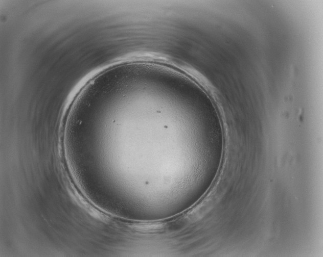 X0000080721296200612151149