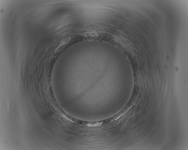 X0000080721297200612151149