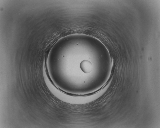 X0000080721298200612151149