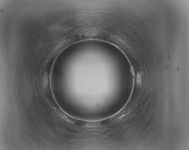 X0000080721299200612151149