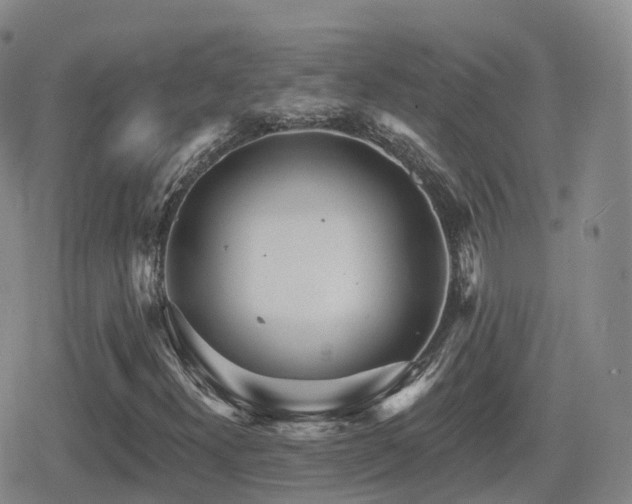 X0000080721300200612151149