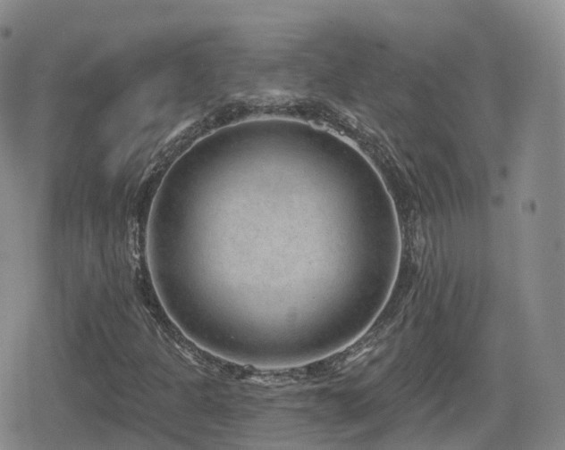 X0000080721301200612151149