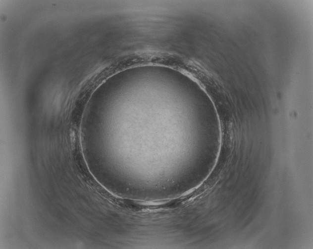 X0000080721302200612151149