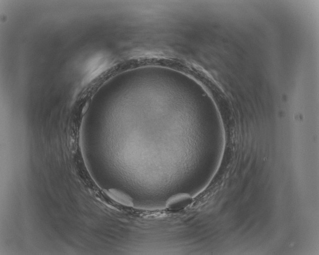 X0000080721303200612151149