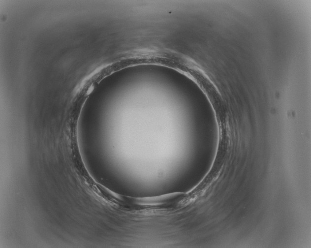 X0000080721304200612151149