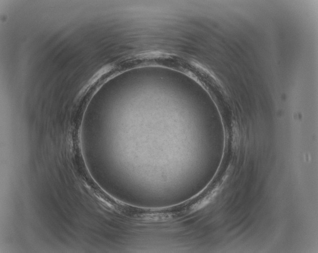 X0000080721305200612151149