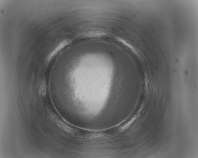 X0000080721306200612151149