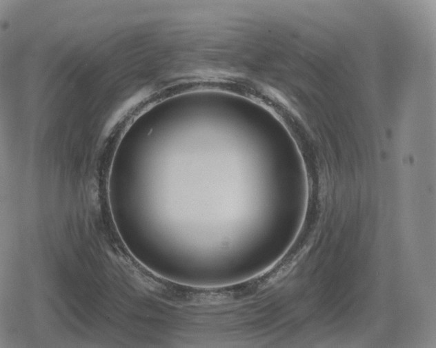 X0000080721307200612151149