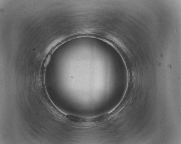 X0000080721308200612151149