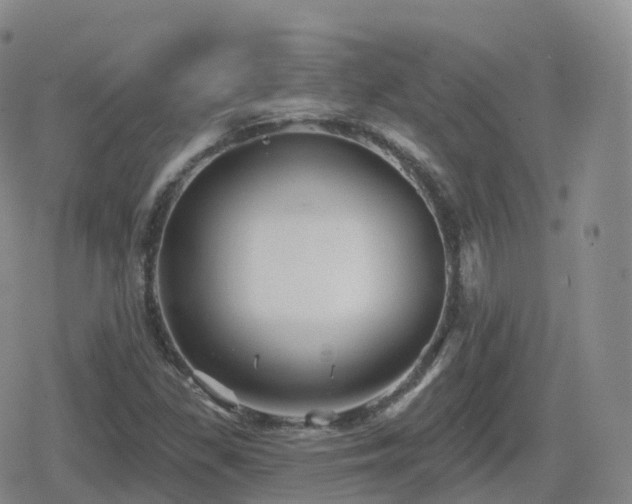 X0000080721309200612151149