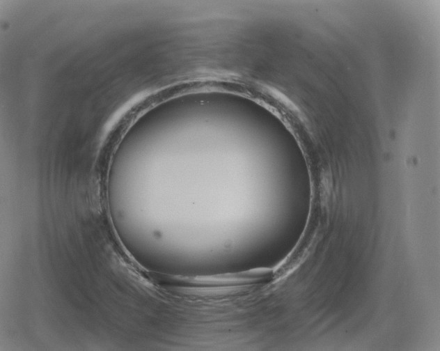 X0000080721310200612151149