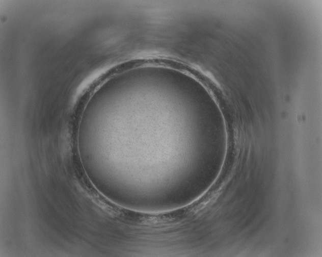 X0000080721311200612151149