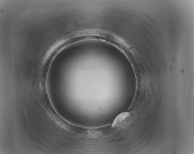 X0000080721312200612151149