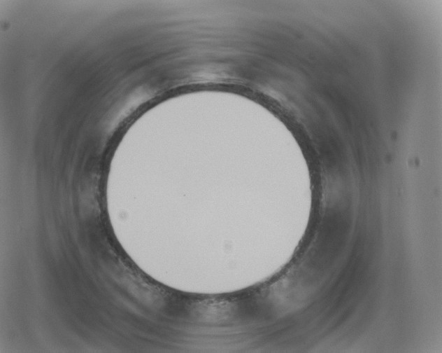 X0000080721314200612151149