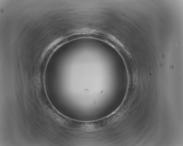 X0000080721315200612151149